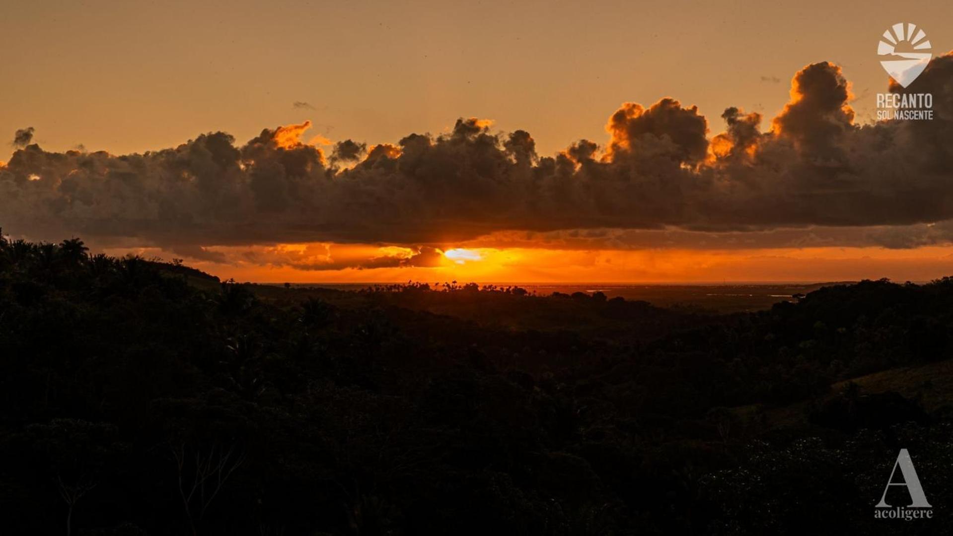 Pousada Recanto Sol Nascente, Luxo E Proximidade Com A Natureza Hotel Rio Formoso Eksteriør billede