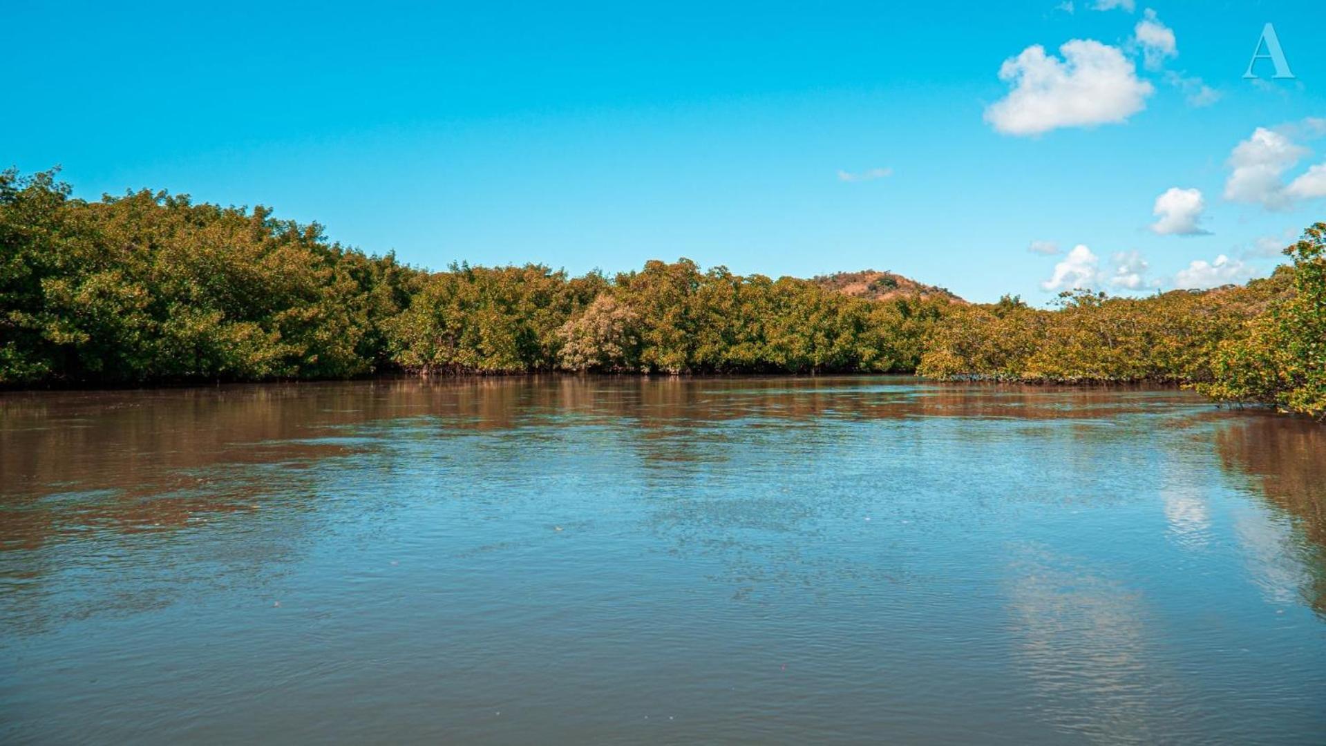 Pousada Recanto Sol Nascente, Luxo E Proximidade Com A Natureza Hotel Rio Formoso Eksteriør billede