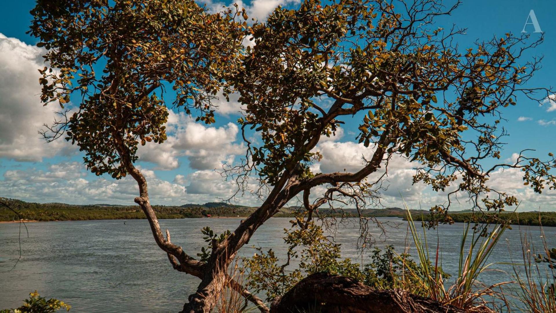 Pousada Recanto Sol Nascente, Luxo E Proximidade Com A Natureza Hotel Rio Formoso Eksteriør billede