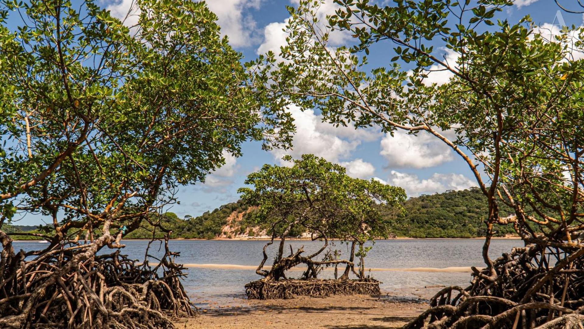 Pousada Recanto Sol Nascente, Luxo E Proximidade Com A Natureza Hotel Rio Formoso Eksteriør billede