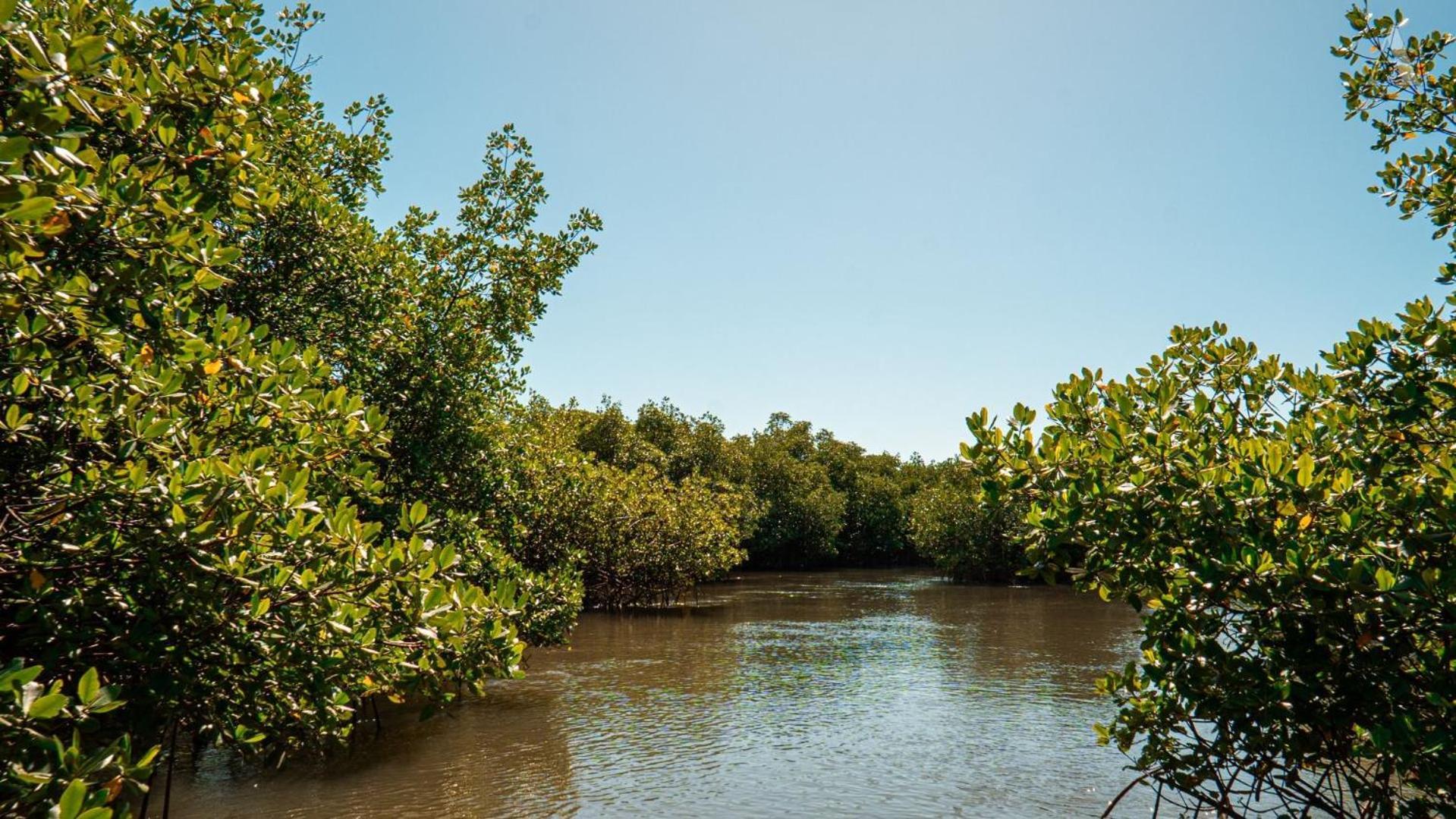 Pousada Recanto Sol Nascente, Luxo E Proximidade Com A Natureza Hotel Rio Formoso Eksteriør billede
