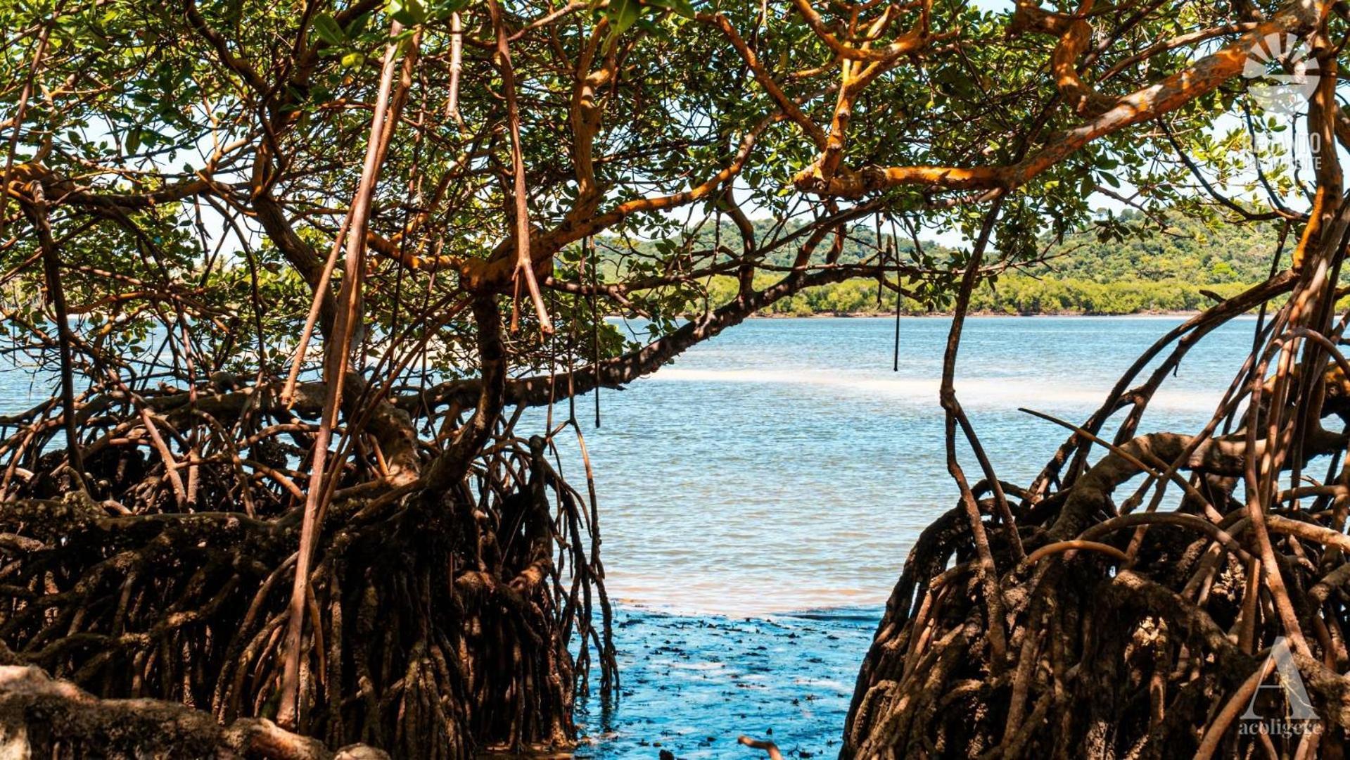 Pousada Recanto Sol Nascente, Luxo E Proximidade Com A Natureza Hotel Rio Formoso Eksteriør billede