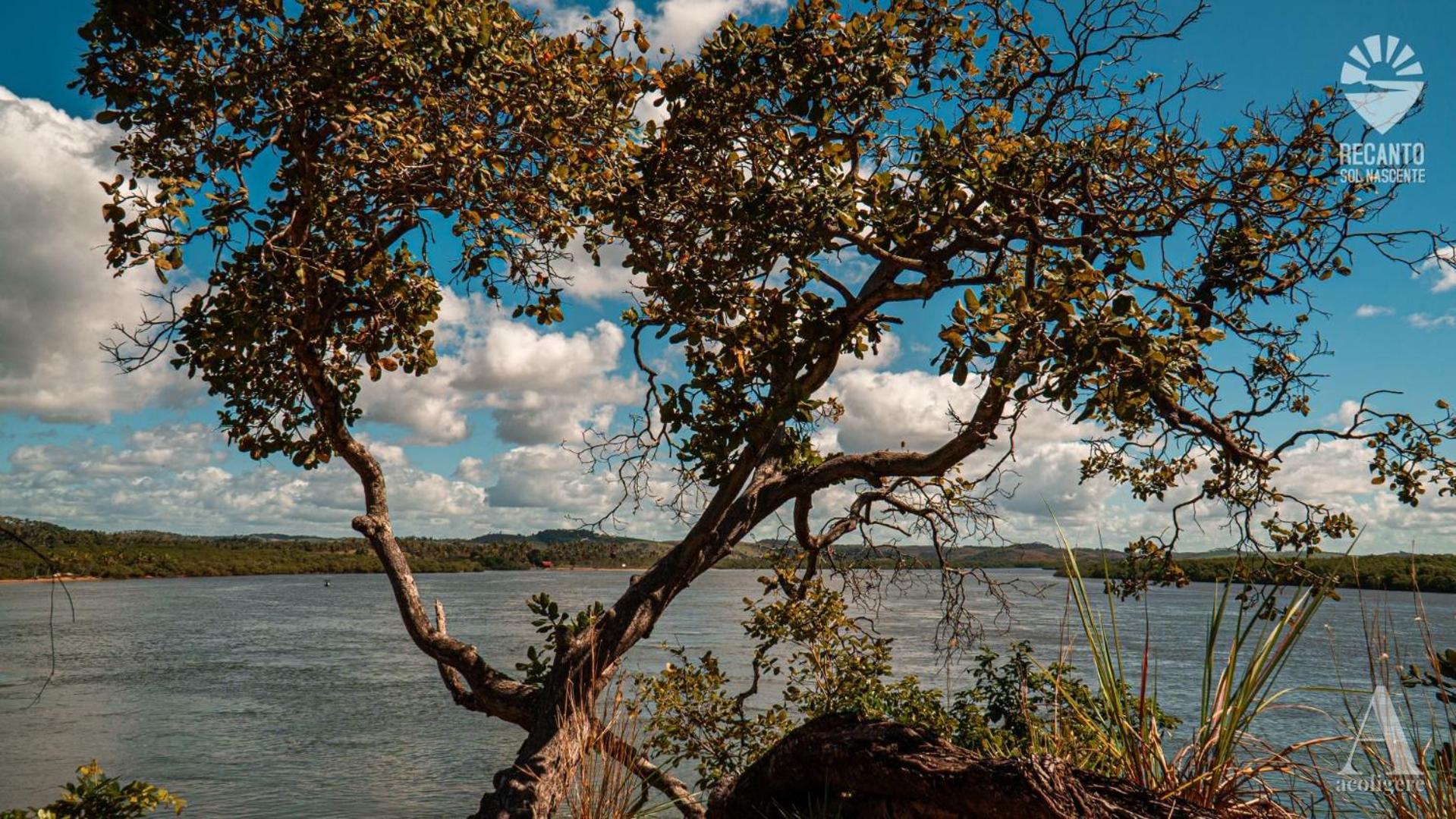Pousada Recanto Sol Nascente, Luxo E Proximidade Com A Natureza Hotel Rio Formoso Eksteriør billede